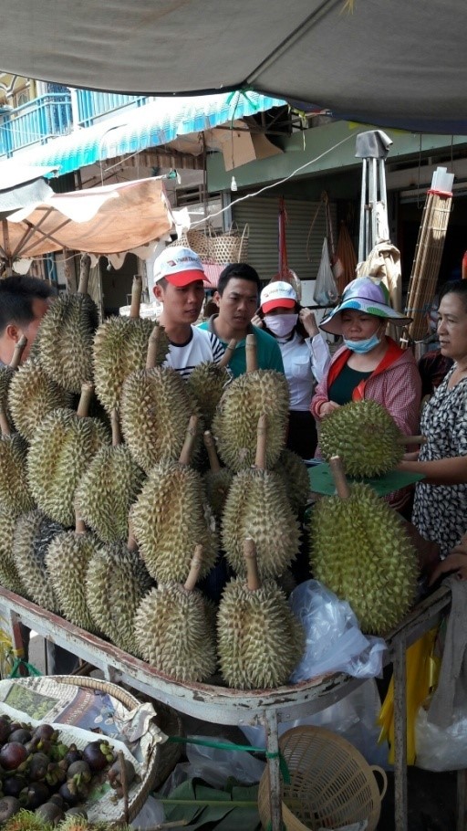 Sầu riêng Kampot-1.JPG