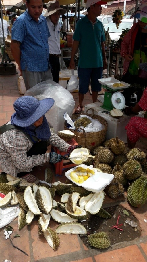 Sầu riêng Kampot.JPG